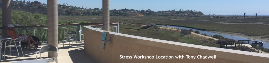 Stress Workshop Tony Chadwellv2
